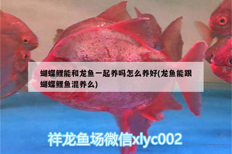 金龍魚油代理需要多少錢一瓶 做金龍魚經(jīng)銷商怎么樣