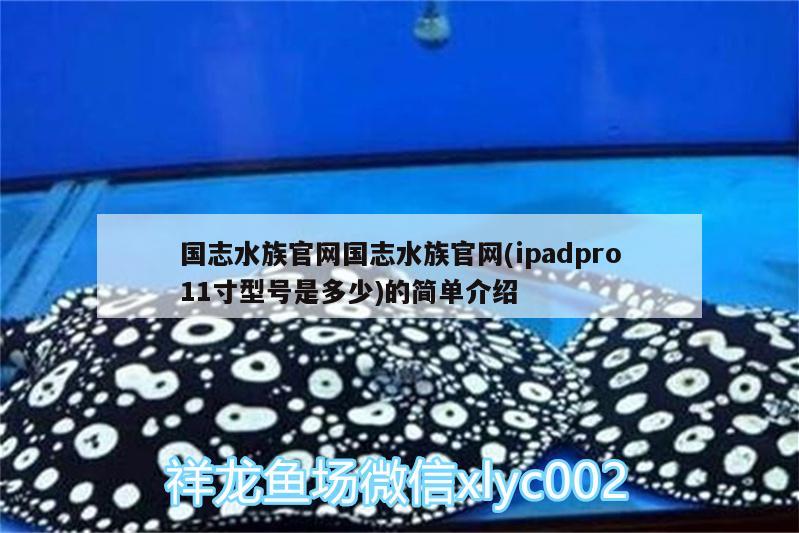 國志水族官網(wǎng)國志水族官網(wǎng)(ipadpro11寸型號是多少)的簡單介紹