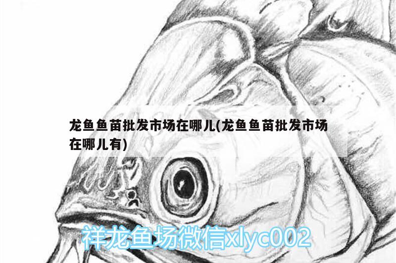 小型魚缸裝飾圖片 小型魚缸布景效果圖 黃金鴨嘴魚