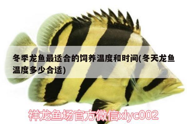 哪個牌子魚缸質(zhì)量好又實惠耐用（哪個牌子魚缸質(zhì)量好又實惠耐用的）