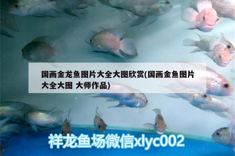 國畫金龍魚圖片大全大圖欣賞(國畫金魚圖片大全大圖大師作品)