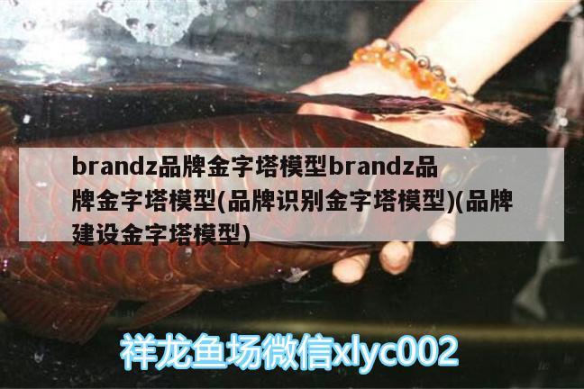 brandz品牌金字塔模型brandz品牌金字塔模型(品牌識別金字塔模型)(品牌建設(shè)金字塔模型)