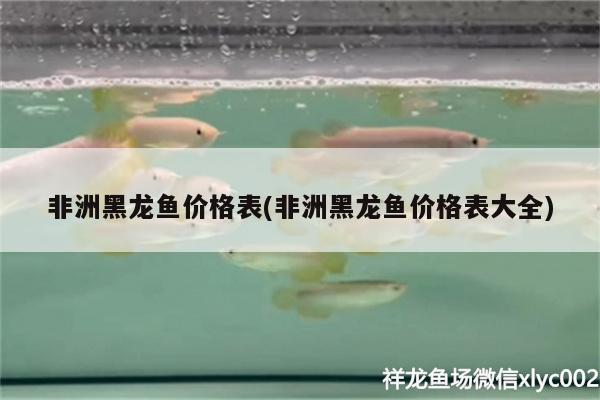 非洲黑龍魚價格表(非洲黑龍魚價格表大全)