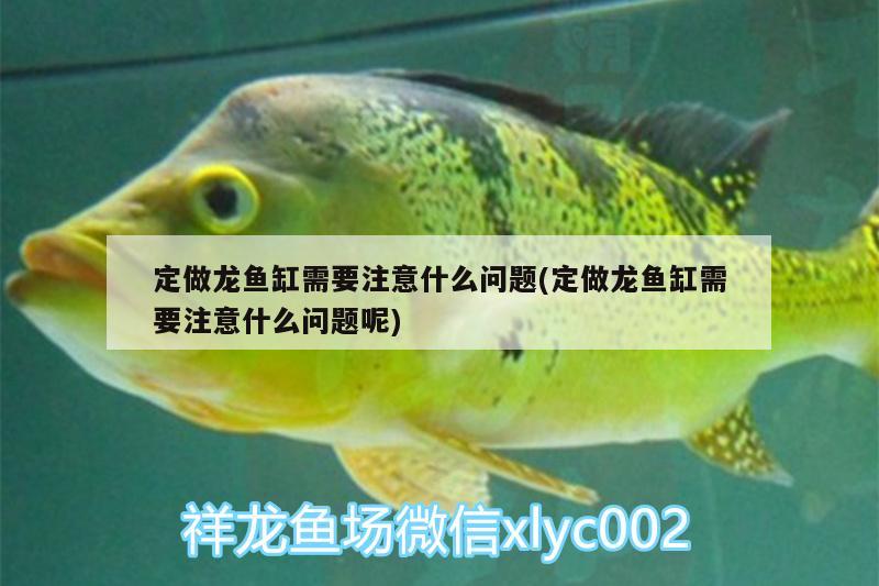 定做龍魚缸需要注意什么問題(定做龍魚缸需要注意什么問題呢)