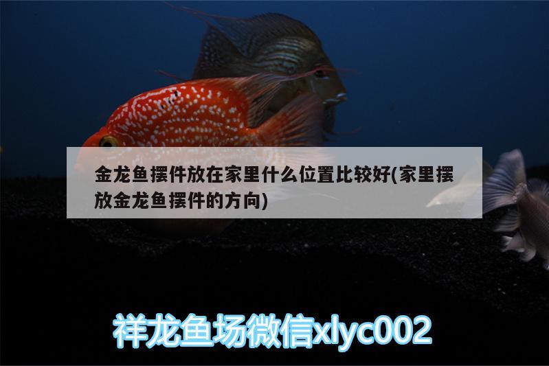 金龍魚擺件放在家里什么位置比較好(家里擺放金龍魚擺件的方向) 肥料