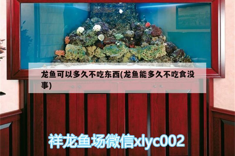 龍魚可以多久不吃東西(龍魚能多久不吃食沒事) 羅漢魚批發(fā)