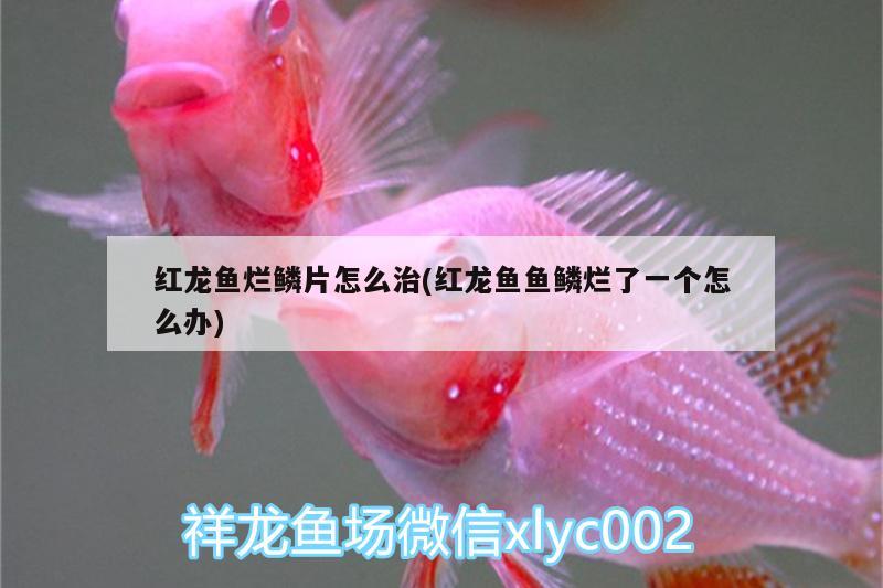 寧波魚缸安裝師傅電話地址查詢（寧波做魚缸的地方在哪）