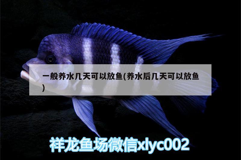 魚(yú)缸上面可以做柜子嗎：魚(yú)缸上面可以做柜子嗎