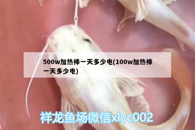 500w加熱棒一天多少電(100w加熱棒一天多少電) 飛鳳魚