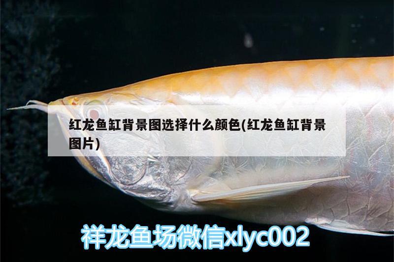 池州水族館新疆 肥料 第3張