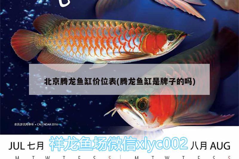 北京騰龍魚缸價位表(騰龍魚缸是牌子的嗎) 南美異型魚