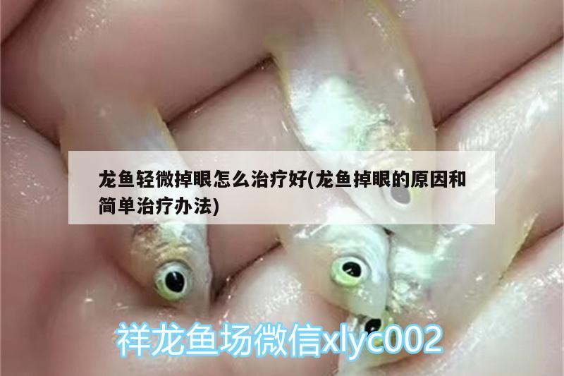 龍魚輕微掉眼怎么治療好(龍魚掉眼的原因和簡(jiǎn)單治療辦法)