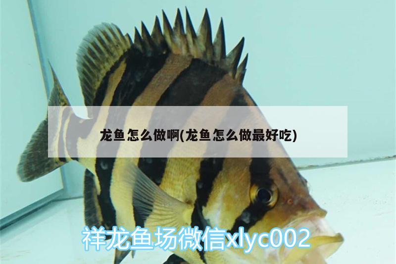 保定魚缸清理服務(wù)電話號(hào)碼查詢是多少：保定魚缸批發(fā)市場(chǎng)地址