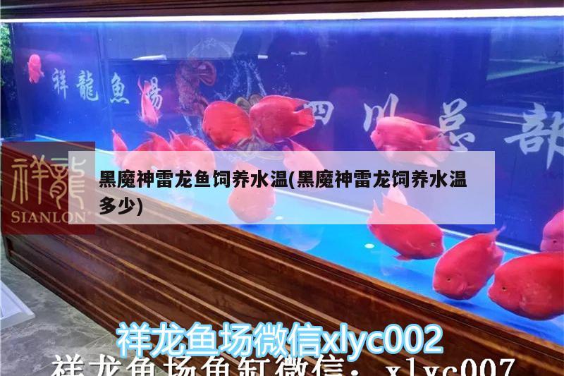 黑魔神雷龍魚飼養(yǎng)水溫(黑魔神雷龍飼養(yǎng)水溫多少)