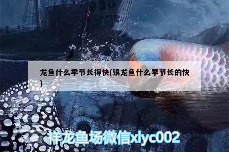 魚缸過濾器壞了的緊急應對措施（魚缸過濾器插電還不啟動） 大正錦鯉魚 第2張