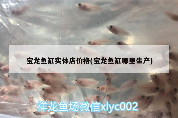 寶龍魚缸實體店價格(寶龍魚缸哪里生產(chǎn)) 祥龍傳奇品牌魚缸