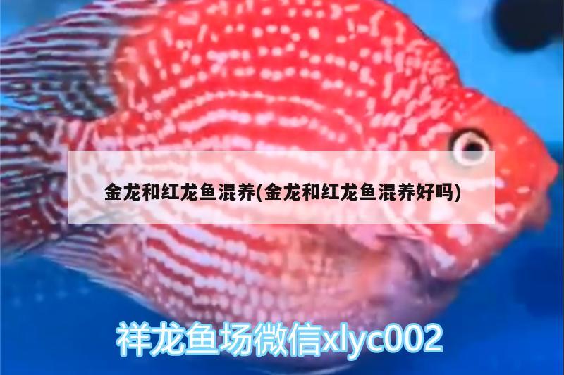 北京陳國芹觀賞魚店 全國水族館企業(yè)名錄 第1張