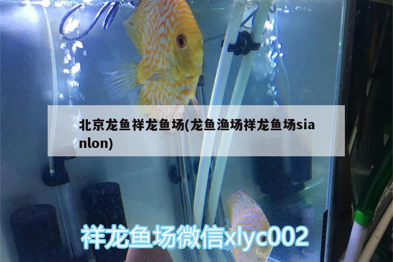 邢臺(tái)二手魚(yú)缸哪里有賣的地方（天津義銀百冠裝飾） 魚(yú)缸百科 第2張