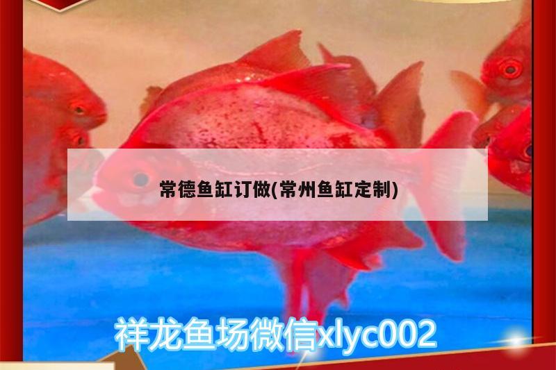 常德魚缸訂做(常州魚缸定制) 錦鯉池魚池建設(shè)