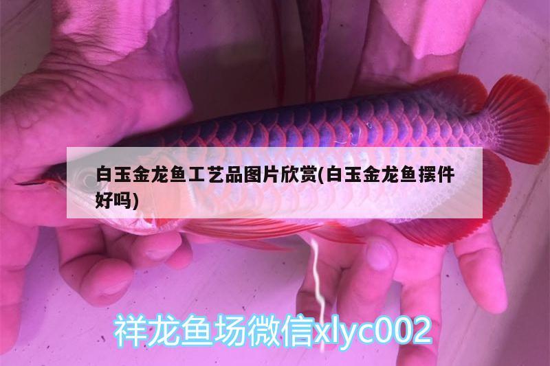 白玉金龍魚工藝品圖片欣賞(白玉金龍魚擺件好嗎) 野彩魚