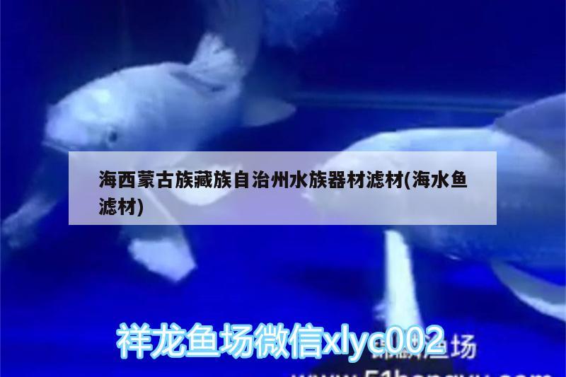 海西蒙古族藏族自治州水族器材濾材(海水魚濾材) 海水魚