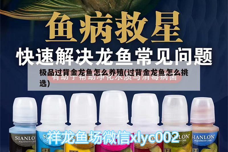 魚缸能用小蘇打清洗嗎有毒嗎（ 魚缸能用小蘇打清洗嗎有毒嗎安全嗎） 貓貓