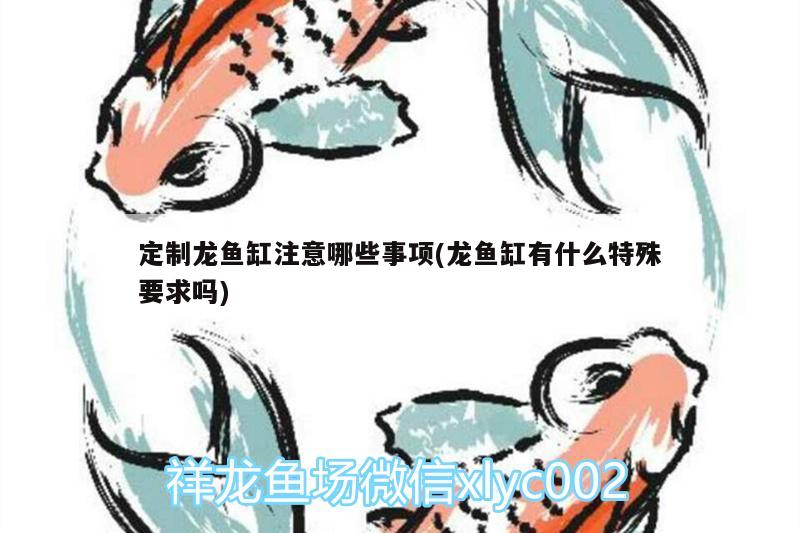 定制龍魚缸注意哪些事項(龍魚缸有什么特殊要求嗎)