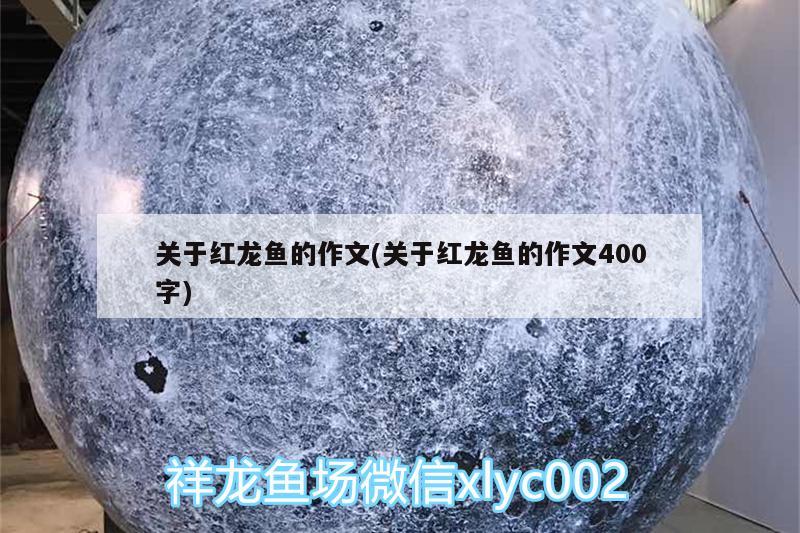 1130開燈下效果 水族燈（魚缸燈） 第3張