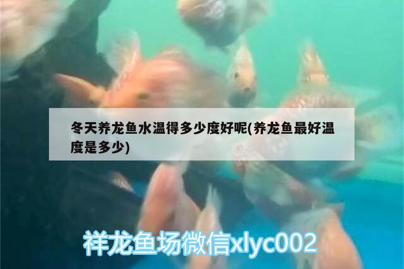 1130開燈下效果 水族燈（魚缸燈） 第2張