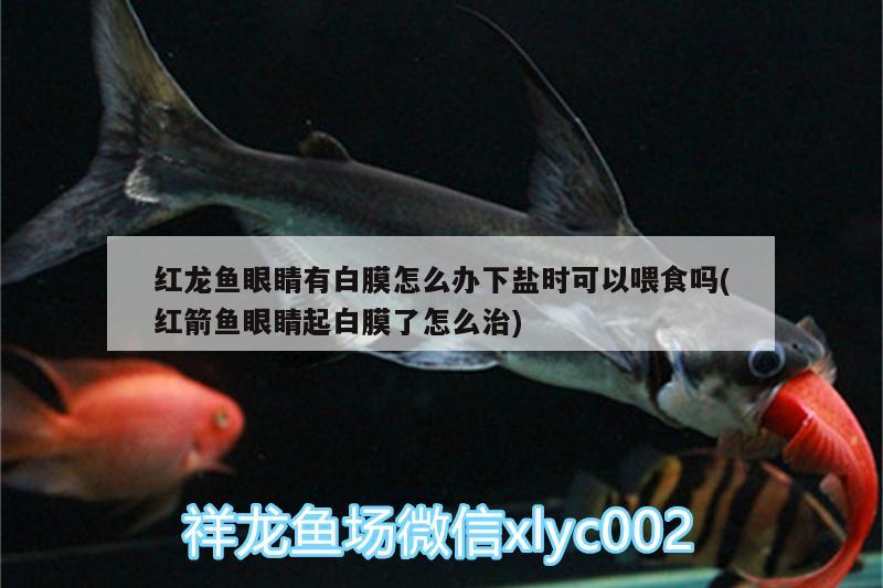 廈門水族箱去哪里買，小米智能魚缸代工廠是哪家