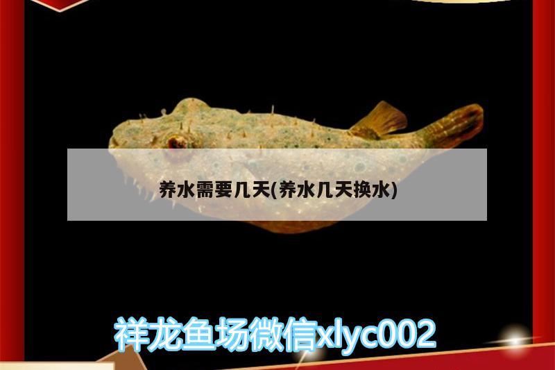 成都定做魚(yú)缸廠家電話多少?。撼啥甲鲷~(yú)缸的廠家