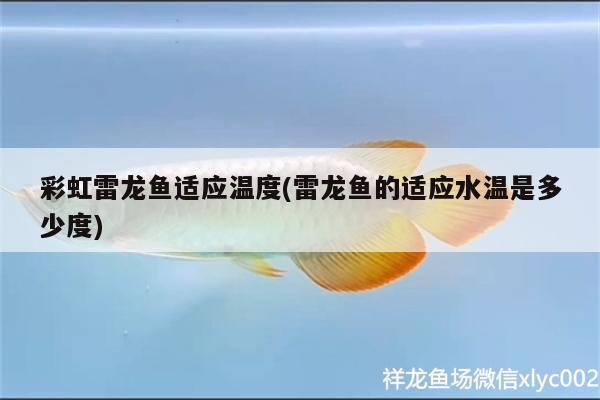 魚(yú)缸放太陽(yáng)下有啥好處：魚(yú)缸在太陽(yáng)下行不行