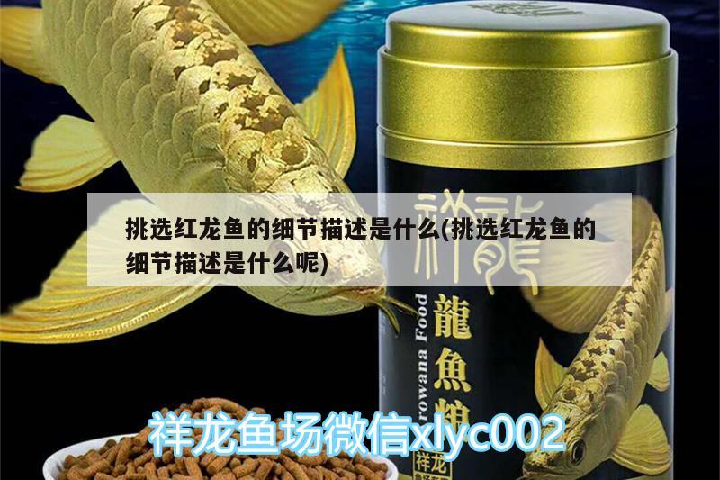 看看虎魚這算蒙眼嗎？ 虎魚百科 第3張