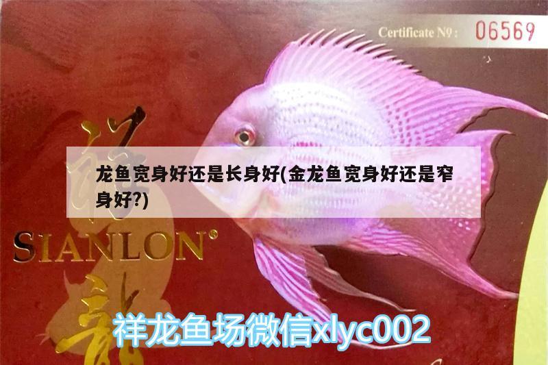 品牌魚缸和雜牌區(qū)別是什么：品牌魚缸和雜牌區(qū)別是什么圖片