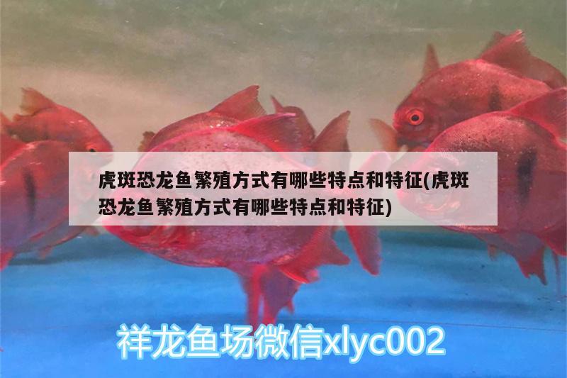 錦州觀賞魚市場便宜稱呼一缸劍沙 觀賞魚市場（混養(yǎng)魚） 第1張