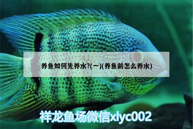 養(yǎng)魚如何先養(yǎng)水?(一)(養(yǎng)魚前怎么養(yǎng)水) 祥龍金禾金龍魚