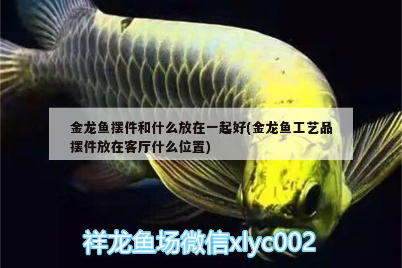 金龍魚擺件和什么放在一起好(金龍魚工藝品擺件放在客廳什么位置)