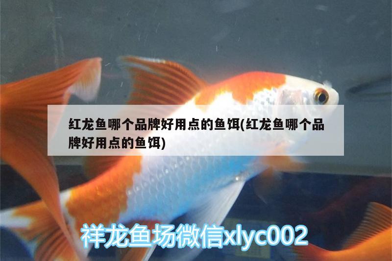 紅龍魚哪個品牌好用點的魚餌(紅龍魚哪個品牌好用點的魚餌) 三色錦鯉魚 第2張