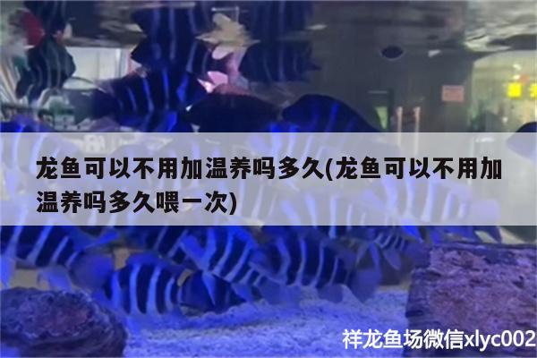 邯鄲修魚缸電話多少號（邯鄲修魚缸電話多少號碼） 量子養(yǎng)魚技術 第4張