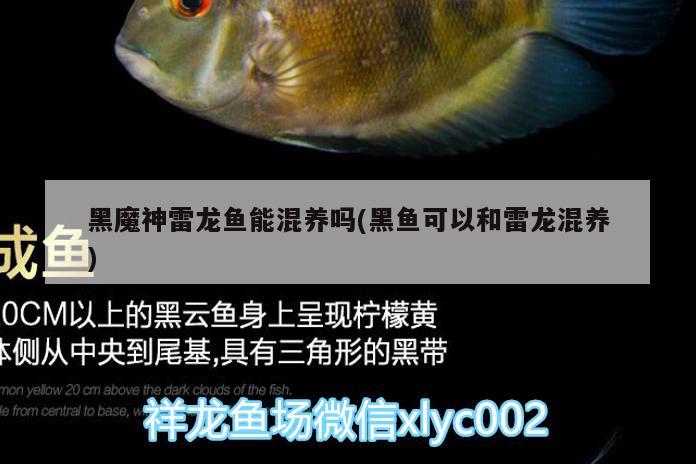 天津魚缸清洗服務(wù)中心電話地址(天津魚缸清洗服務(wù)中心電話地址是多少) 廣州水族批發(fā)市場 第2張