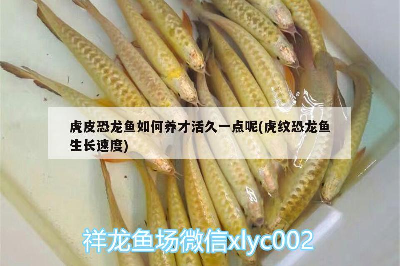 濮陽市大慶辦事處畜牧水產(chǎn)養(yǎng)殖中心（濮陽市大慶辦事處畜牧水產(chǎn)養(yǎng)殖中心電話）