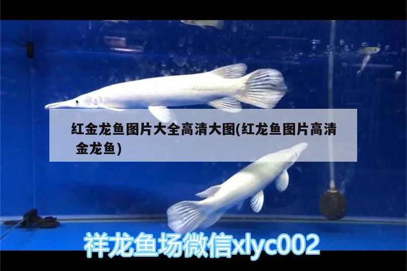 魚缸怎么就不生青苔（魚缸怎么不生青苔呢） 其他品牌魚缸 第1張