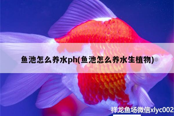 魚池怎么養(yǎng)水ph(魚池怎么養(yǎng)水生植物)