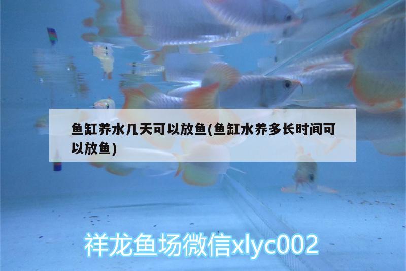 高端水族箱品牌排行榜大全（大型水族箱品牌排行榜）