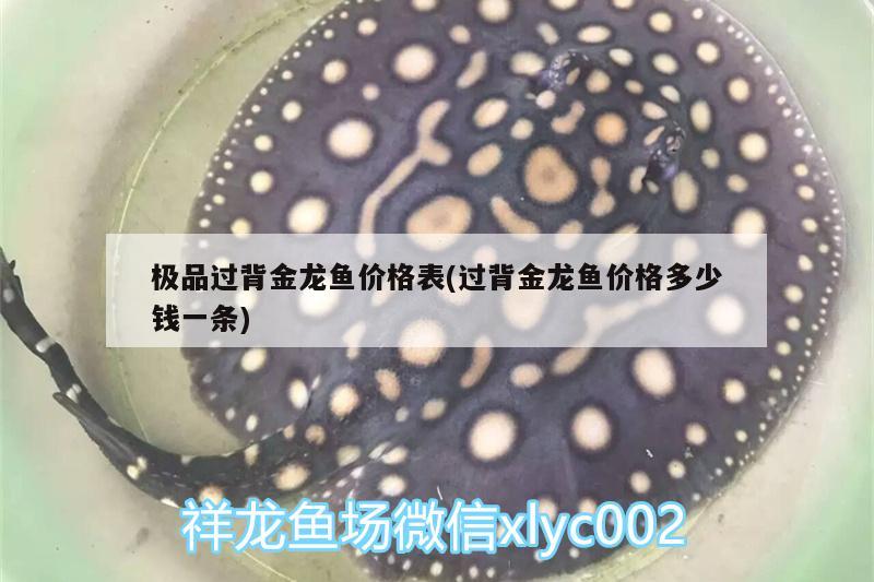 極品過背金龍魚價格表(過背金龍魚價格多少錢一條) 過背金龍魚