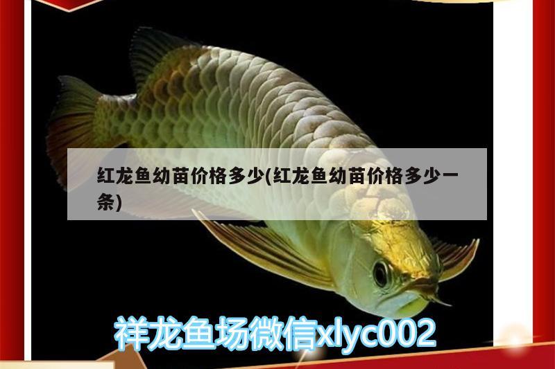 維修魚缸電話號碼（ 維修魚缸電話附近的電話） 硝化細菌