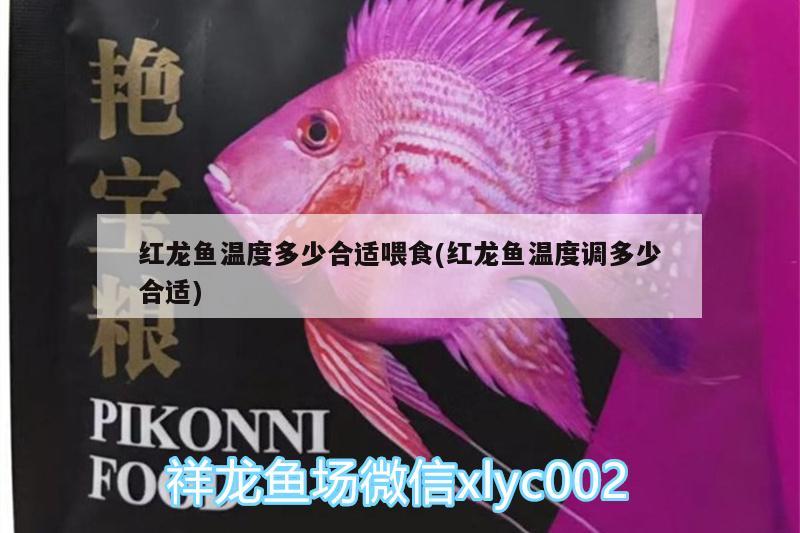 金龍魚品種排名表大全：金龍魚品種排名表大全 祥龍水族醫(yī)院 第1張