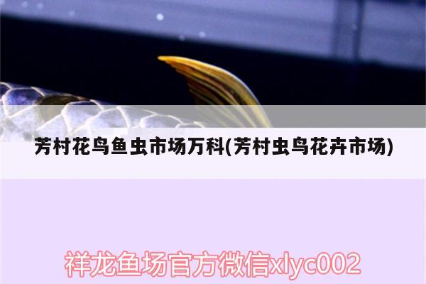 大連泓榆大酒店（大連森園酒店）83605839，大連三日游攻略 魟魚百科 第3張