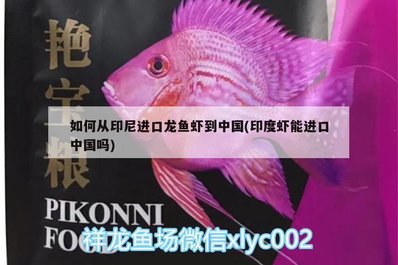 如何從印尼進口龍魚蝦到中國(印度蝦能進口中國嗎)