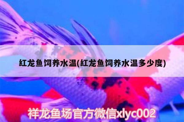 紅龍魚飼養(yǎng)水溫(紅龍魚飼養(yǎng)水溫多少度)